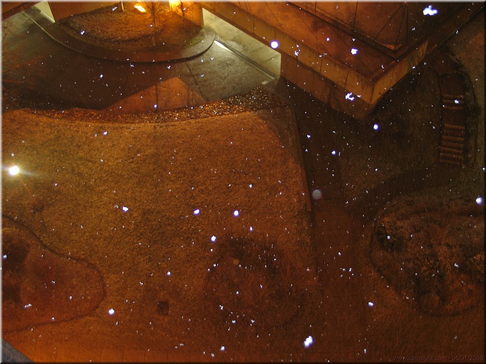 la danse des flocons.jpg
