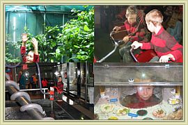 cite des sciences
