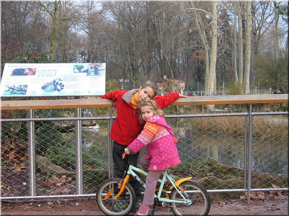 pause calin avec les girafes.jpg