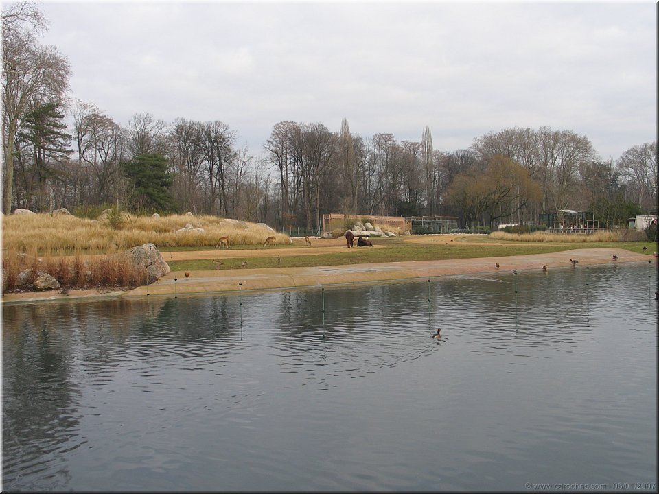 plaine africaine.jpg