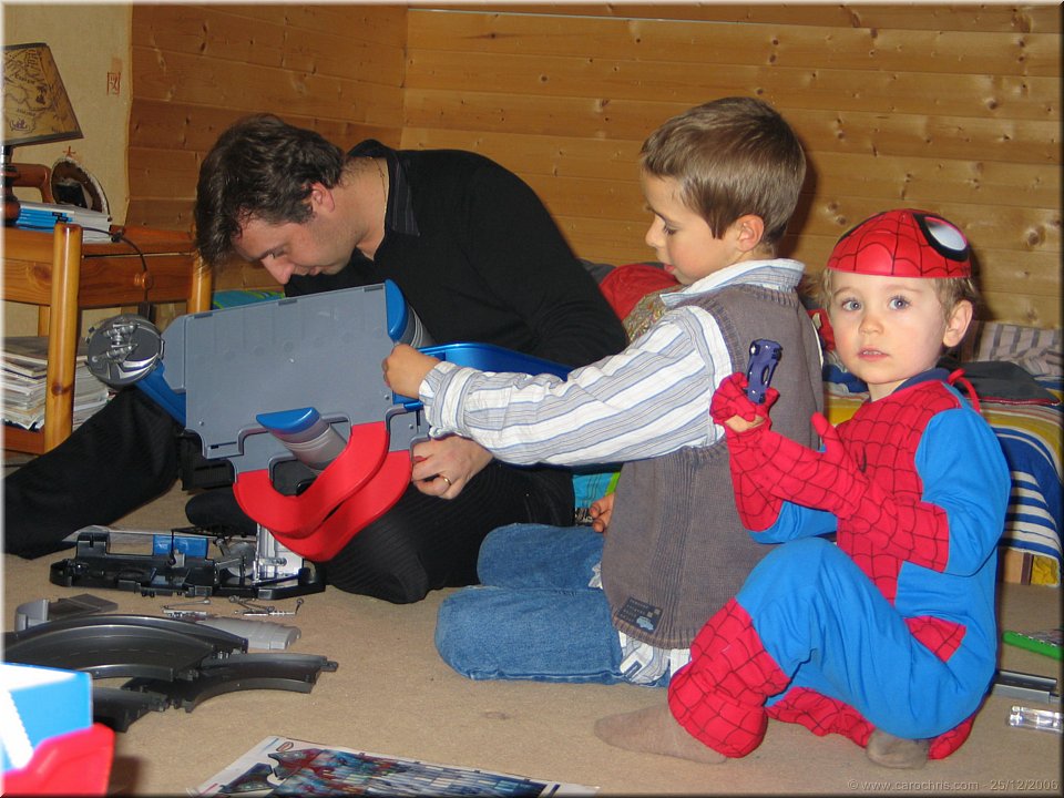 spiderman et ses associes.jpg