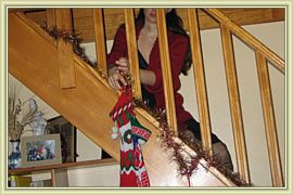 mere noel