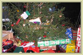 sapin tres charge