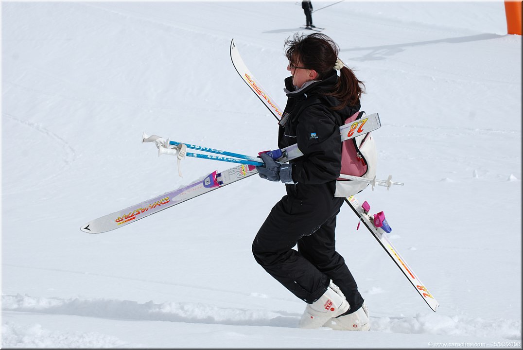 etoile des neiges.jpg