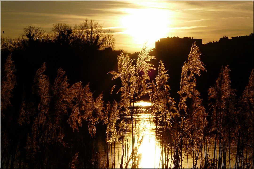 soleil couchant.jpg