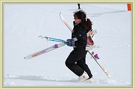 etoile des neiges