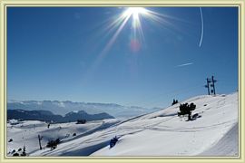 neige fraiche