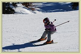 schuss capucine