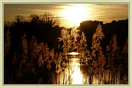 soleil couchant