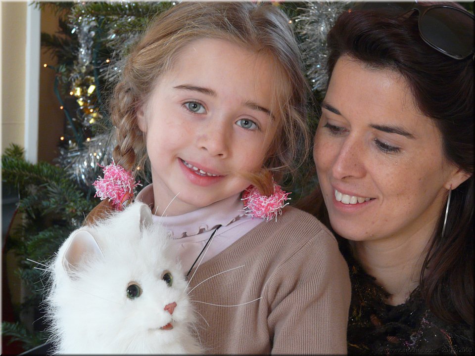 chaton de noel.jpg