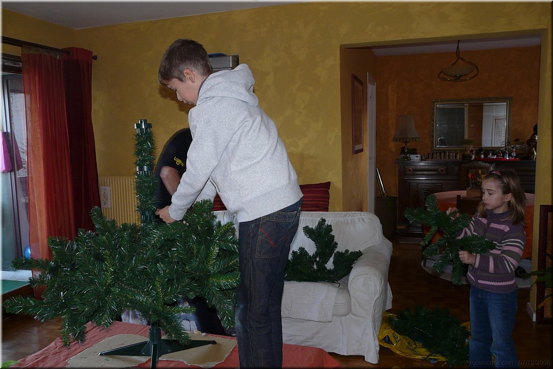 on monte le sapin.jpg