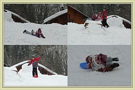 luge