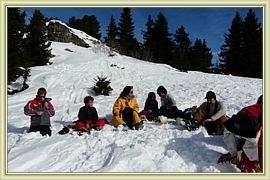 pic nic