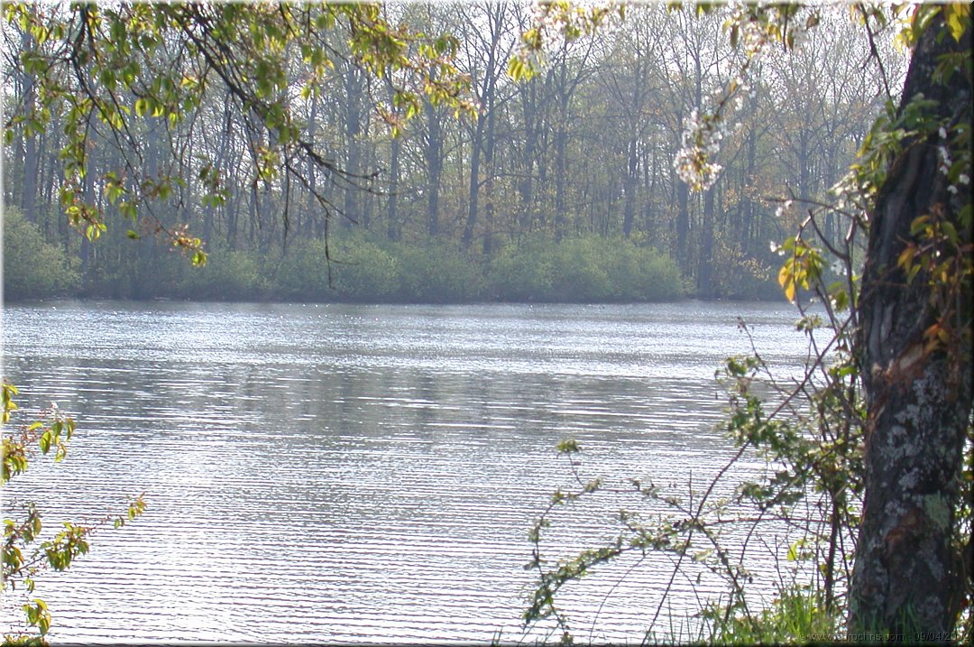 Les 1000 etangs 02.jpg