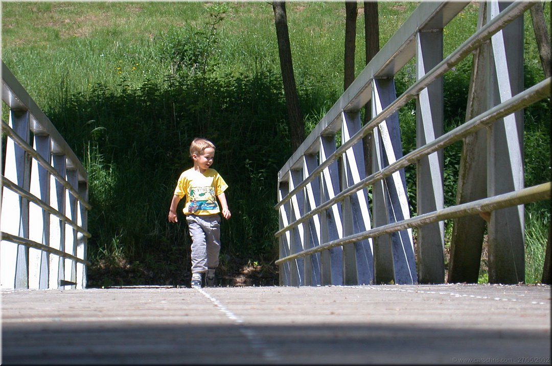 le petit pont de fer.jpg