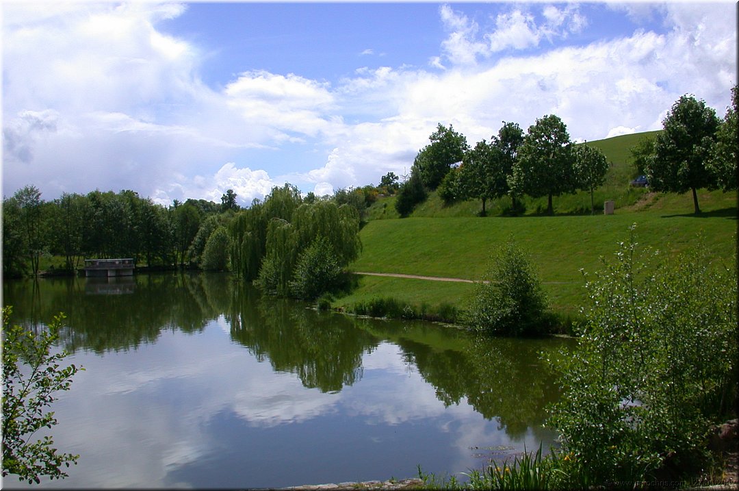 petit coin de verdure.jpg