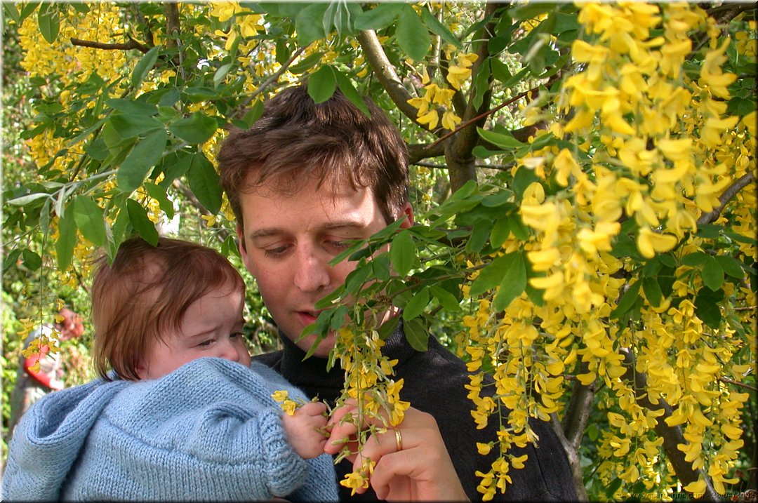petites fleurs.jpg