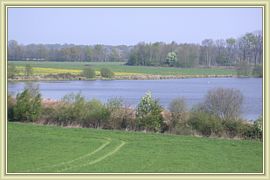 Les 1000 etangs 01
