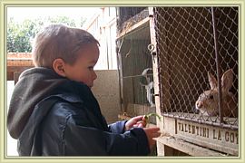 jeannot pinpin