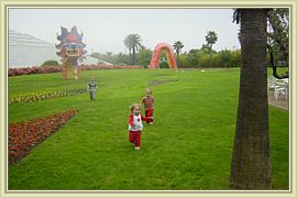 le dragon de nice