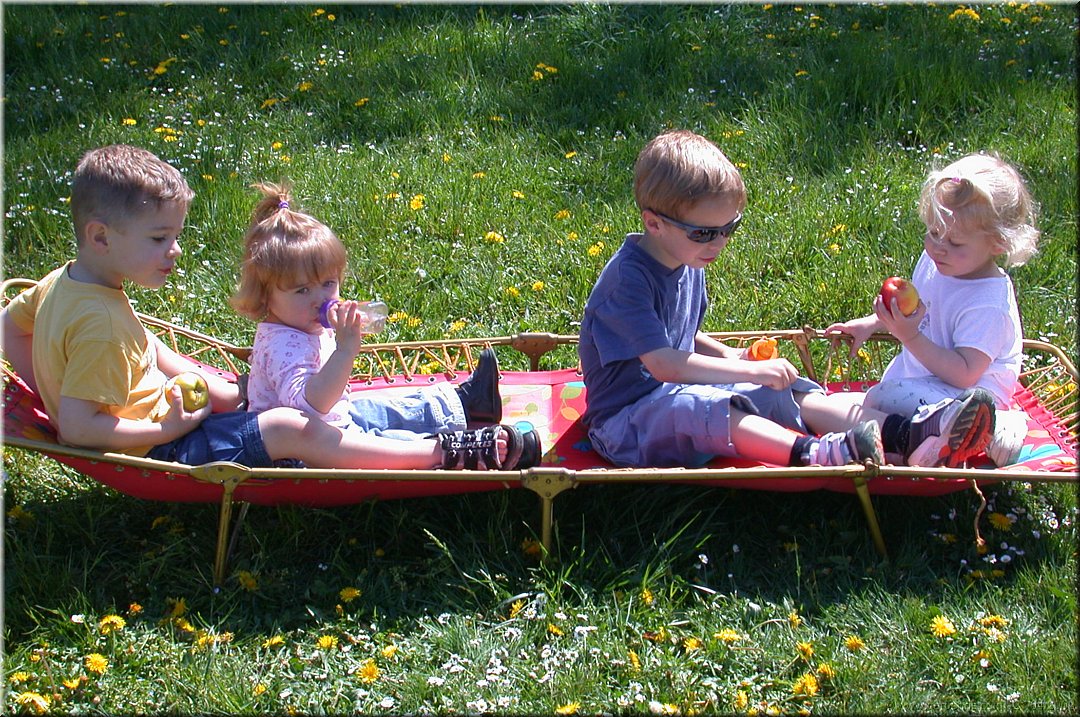 mini pic-nic.jpg