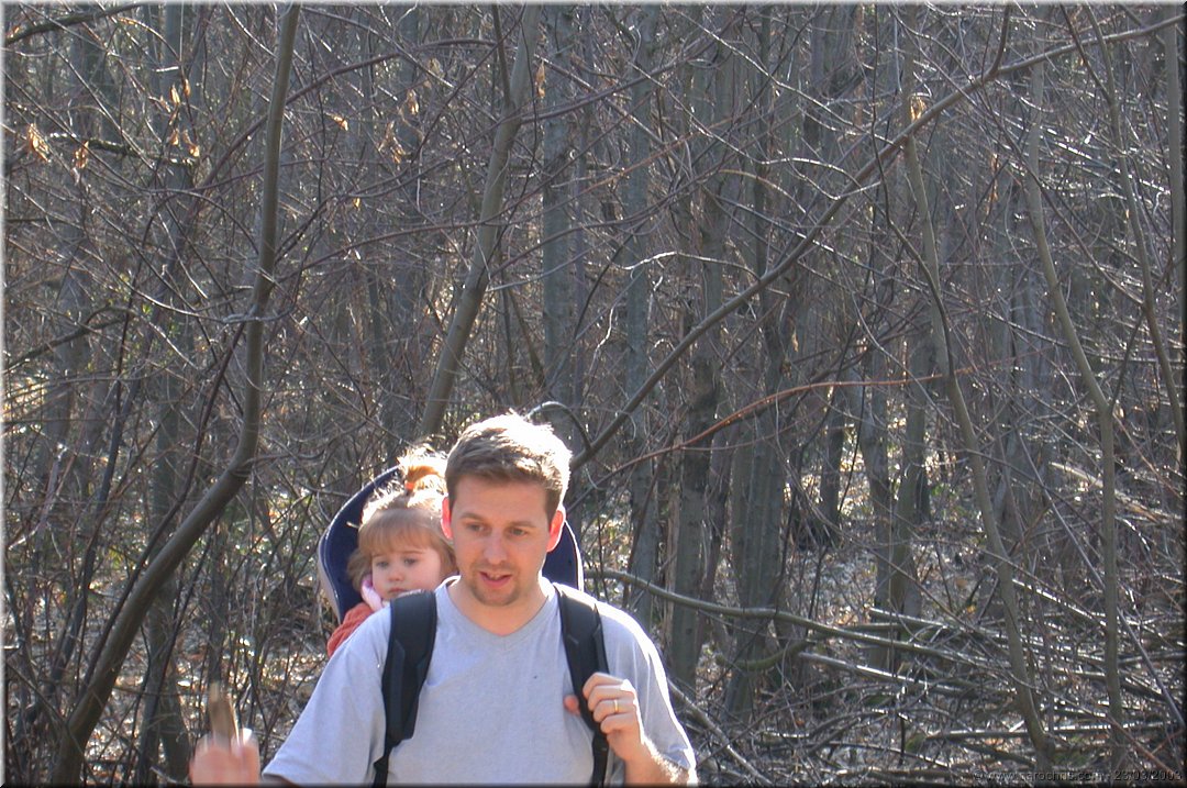 perdu dans la foret.jpg