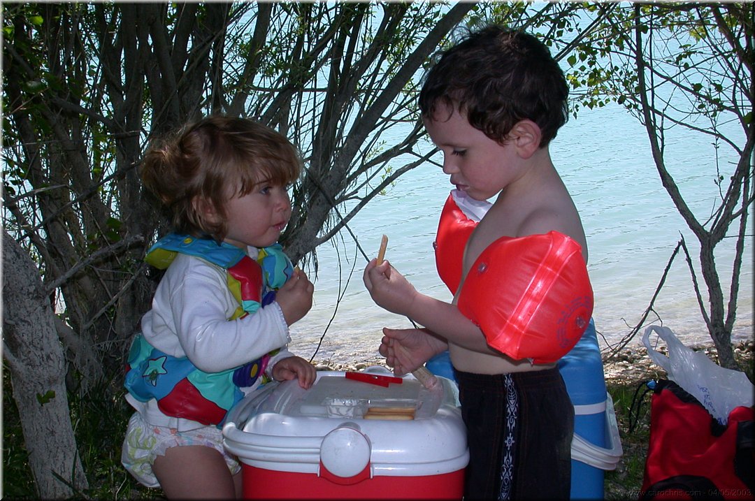 picnic sous les arbres.jpg