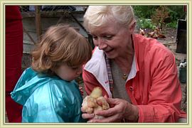 decouverte des poussins