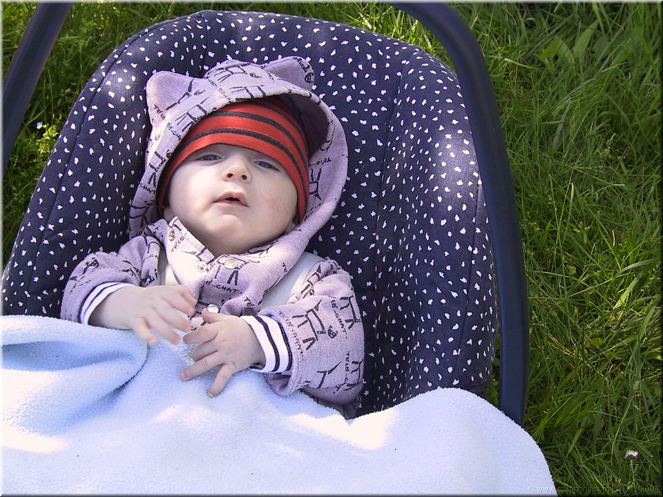 petit noah.jpg