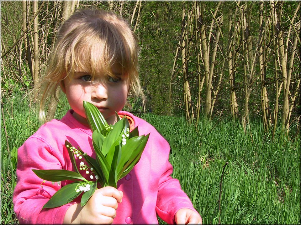 un brin de muguet.jpg