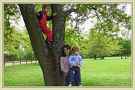 mini vigie dans le parc