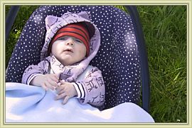 petit noah