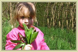 un brin de muguet