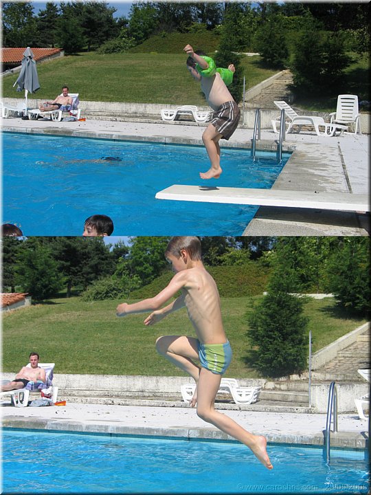 Copie de kangourous aquatiques1.jpg