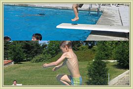 Copie de kangourous aquatiques1