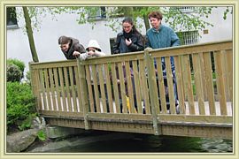 canards sous le pont