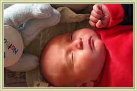 nathan