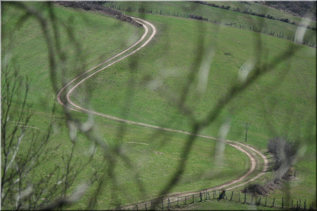 chacun son chemin.jpg