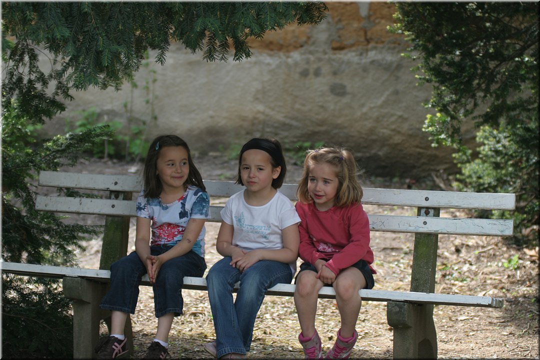 coquinettes.JPG