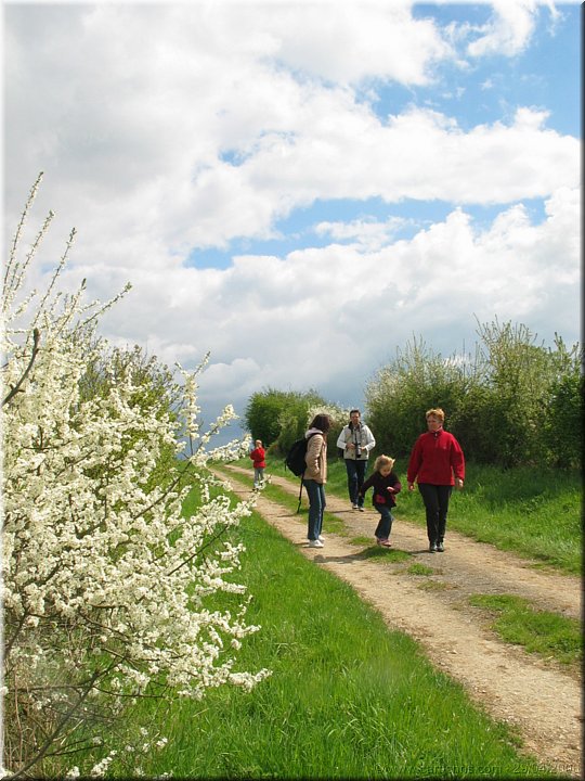 en chemin.jpg