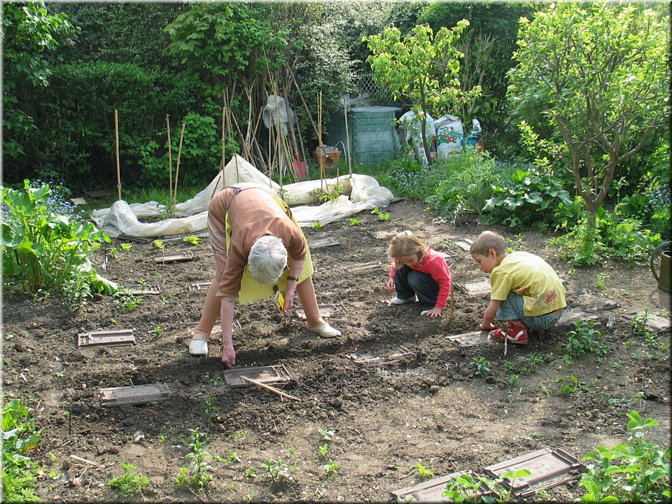 jardinage intensif.jpg