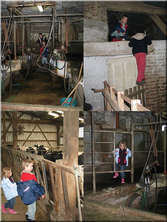 visite de la ferme.jpg