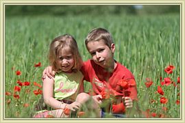 calin dans les coquelicots