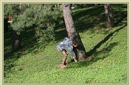 chasse aux oeufs