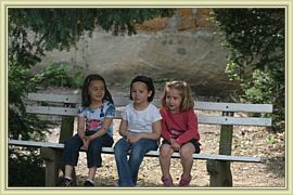 coquinettes