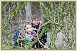 la jungle ou presque