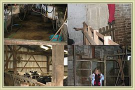 visite de la ferme