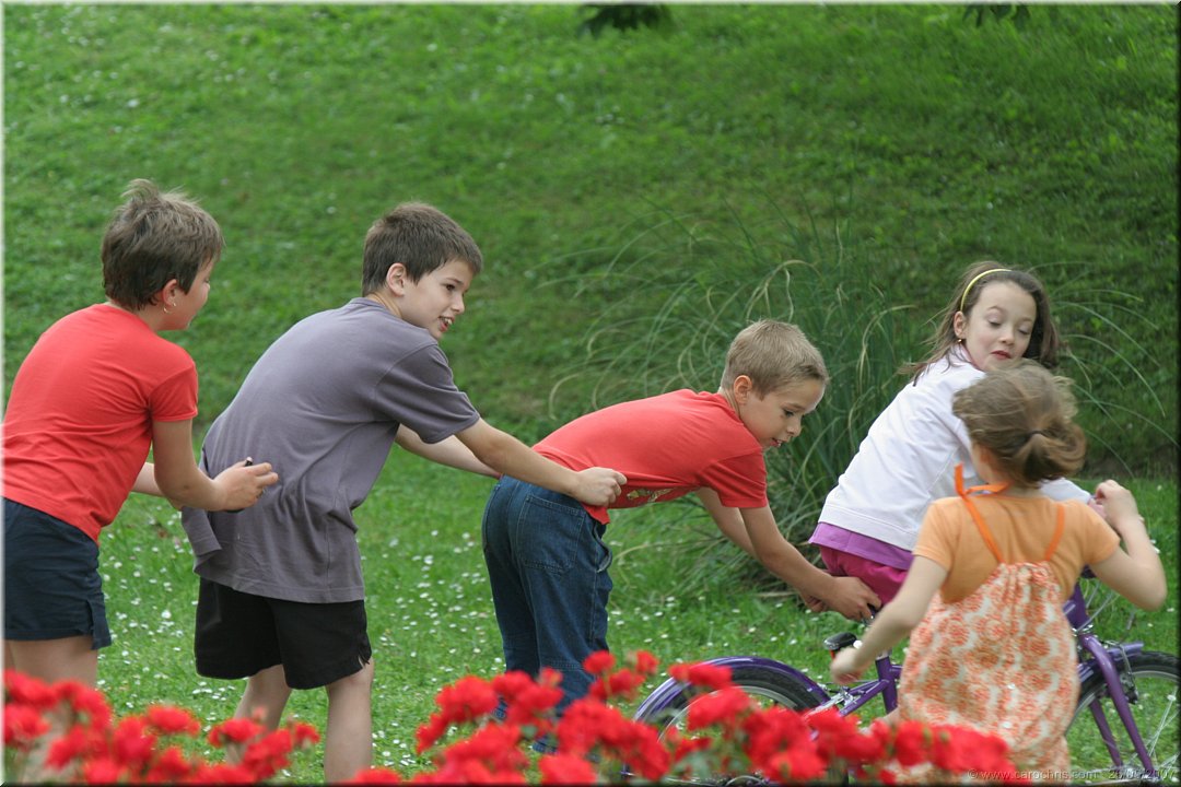 chenille a roulettes.jpg