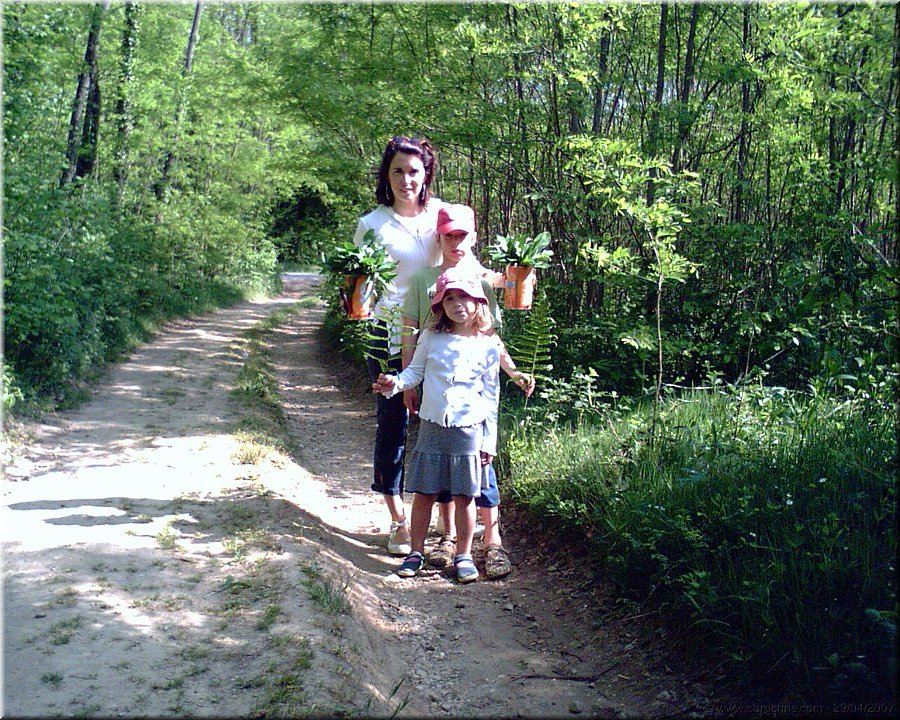 cueillette du muguet.jpg
