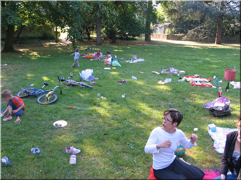 jardin en chantier.jpg